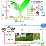 遠山_研究図